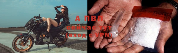 стаф Балахна