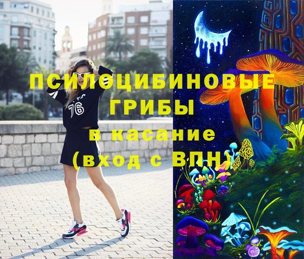 стаф Балахна
