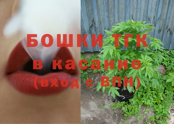 стаф Балахна