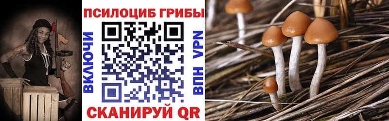 МЕГА онион  Вязьма  Галлюциногенные грибы прущие грибы  цена  