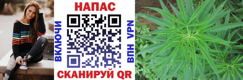 Конопля семена  где можно купить   Вязьма 